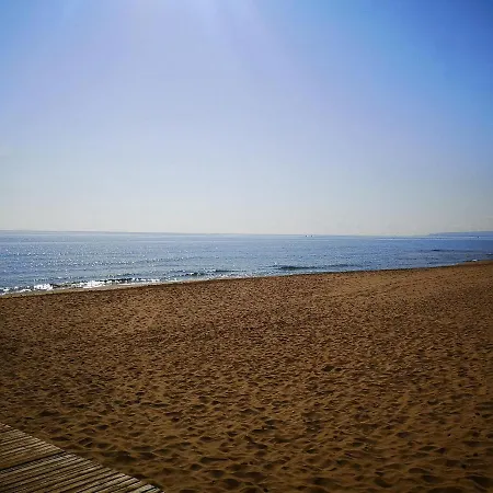 Con Vistas Al Mar Oliva