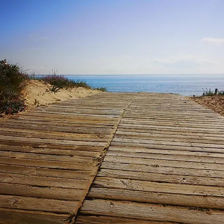 Con Vistas Al Mar *